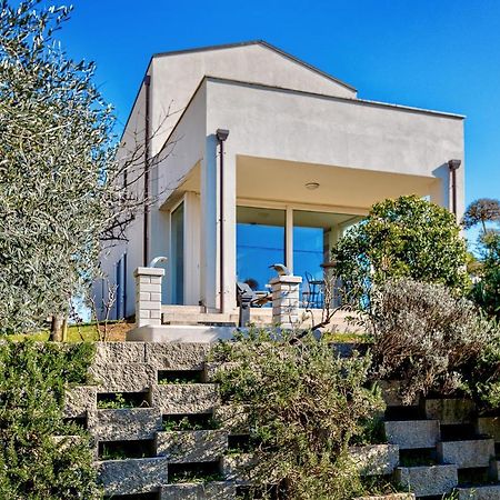 Villa Il Poggino - Modern House 푀아노델라키아나 외부 사진
