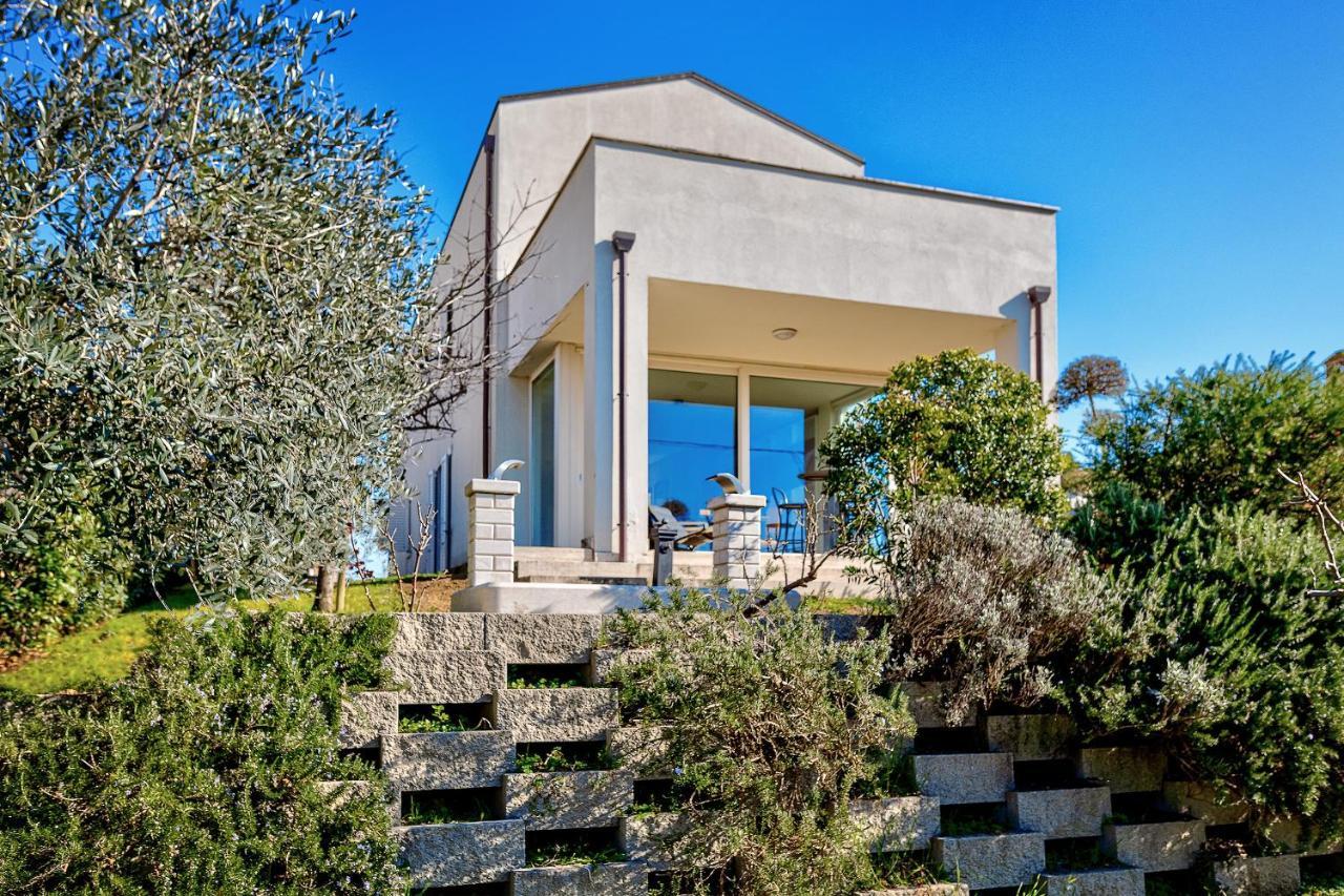 Villa Il Poggino - Modern House 푀아노델라키아나 외부 사진